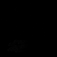 Wolffkraftwolf london wolf paw wolves GIF