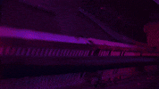 music video love GIF by DallasK