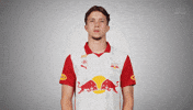 Sun Sunglasses GIF by FC Red Bull Salzburg