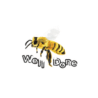 Raw Honey Bee Sticker by El Nahl