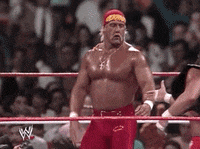 hulk hogan wrestling GIF by WWE