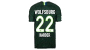 football soccer Sticker by VfL Wolfsburg