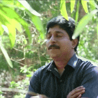 Film Peace GIF