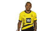 Borussia Dortmund Hello Sticker by Bundesliga