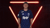 Schalke 04 Cheering GIF by Bundesliga