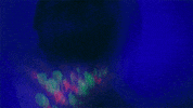Music Video Dancing GIF by Louis The Child