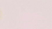 Football Sport GIF by FC Red Bull Salzburg