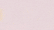 Football Sport GIF by FC Red Bull Salzburg