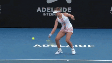 janvojkvka giphyupload GIF