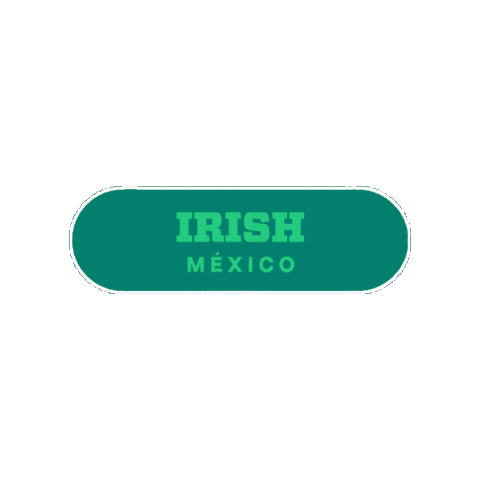 Aguascalientes Sticker by TDLA