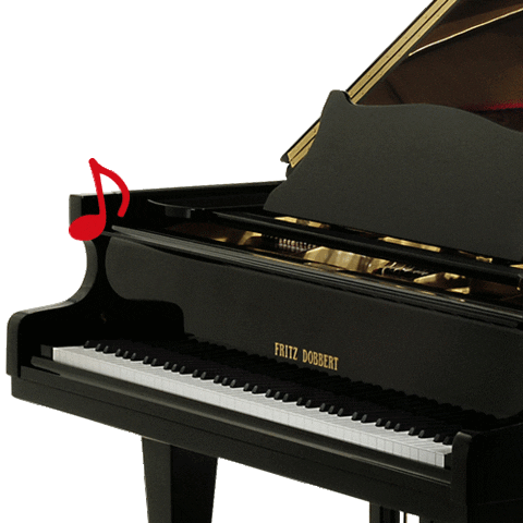 FritzDobbert giphyupload fritz fritzdobbert pianofritz Sticker