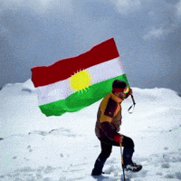 Flag Al GIF