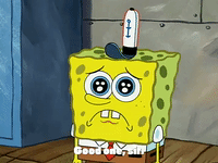 season 3 club spongebob GIF by SpongeBob SquarePants