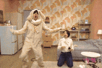 Dance Dog GIF