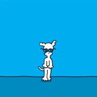 Dance Dancing GIF by Chippy the Dog