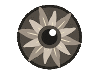 IrisFotoSchweiz logo photography eye spinning Sticker