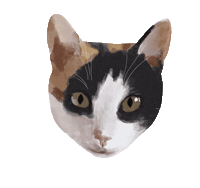 Cat Eyes Sticker