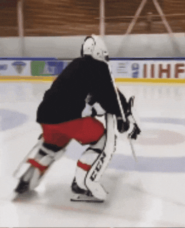 romanoff2402 giphygifmaker GIF