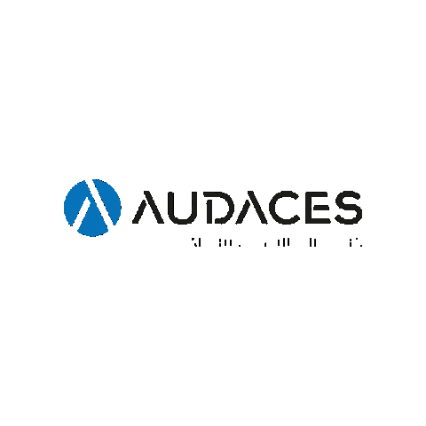 Audaces  Sticker
