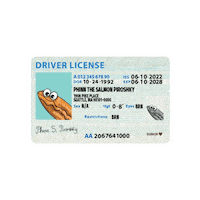 Pike Place Brand Sticker by piroshkypiroshky