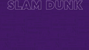 GIF by Northwestern Athletics