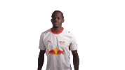 Look At This Red Bull Sticker by RB Leipzig