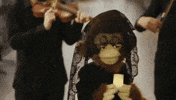 pop no GIF