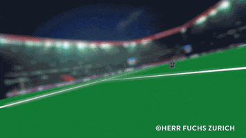Paris Saint-Germain Football GIF by Herr Fuchs Zurich