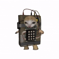 Counter Strike Cat GIF