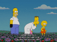 homer simpson flowers GIF