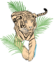 Cat Tiger Sticker