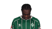 Werder Bremen Salifou Sticker by Bundesliga