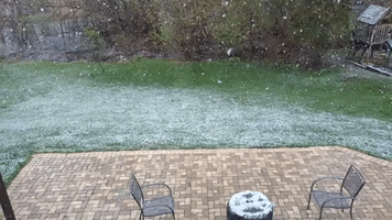Late-April Snow Dusts Southwest Michigan Amid Freeze Warning