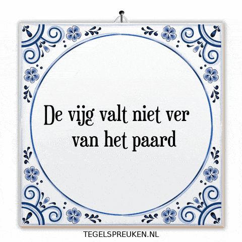 Nl Wijsheid GIF by Tegelspreuken.nl