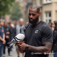 Kung Fu Lebron GIF
