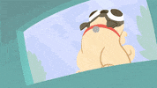 youtube animation GIF by Channel Frederator