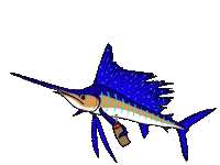 WhitesTackle fishing marlin offshore blue marlin Sticker