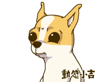 Animation Dog GIF