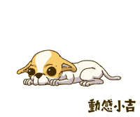 Animation Dog GIF