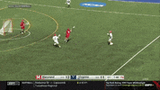 ncaasports ncaa lacrosse virginia uva GIF