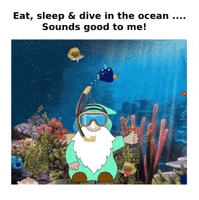 Beach Diving GIF