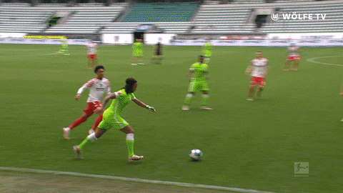 Football Sport GIF by VfL Wolfsburg