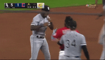 Mlb Punch GIF