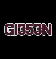 gi353n 3 5 hessen giessen GIF