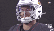 Regular Season Smh GIF by NFL