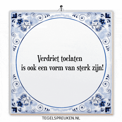 Humor Nl GIF by Tegelspreuken.nl