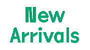 Arrivals Sticker by LWZ