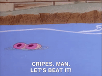ren and stimpy nicksplat GIF