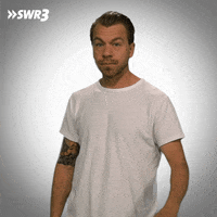 Stop No GIF by SWR3
