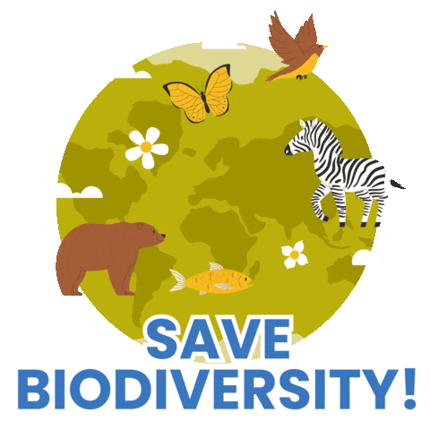 Climate Change Forest Sticker by Dogwood Alliance